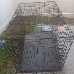 Dog Cage