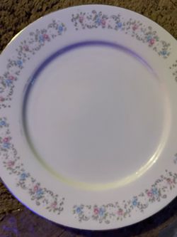 Dinner plate