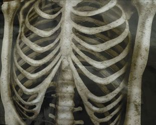 Halloween candy skeleton bag