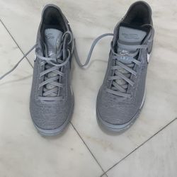 Zoom LeBron NXXT Gen Gray Color Size 10 Men’s