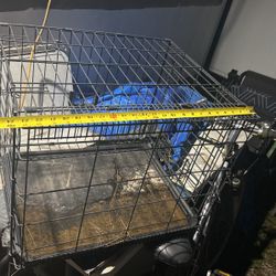 Small Animal Collapsing Cage.  With Tray.  Will  Wash   Before Pick Up  