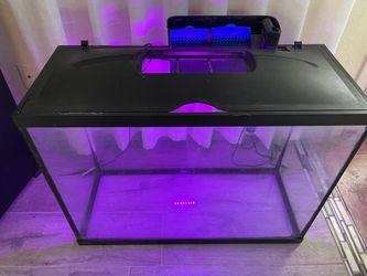 35 gallons fish tank