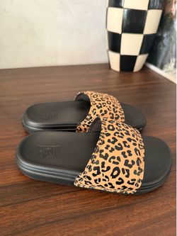 Kids vans