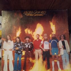 Lynyrd Skynyrd – Street Survivors on vinyl