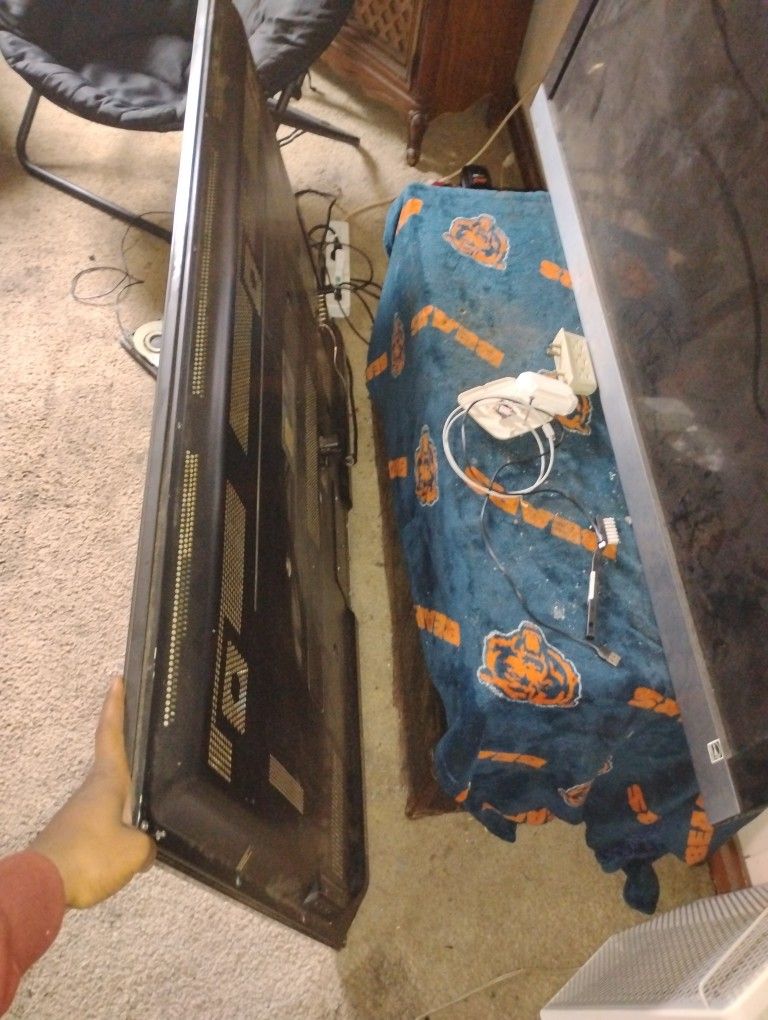 55inch