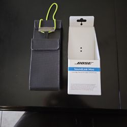 Bose Mini Case
