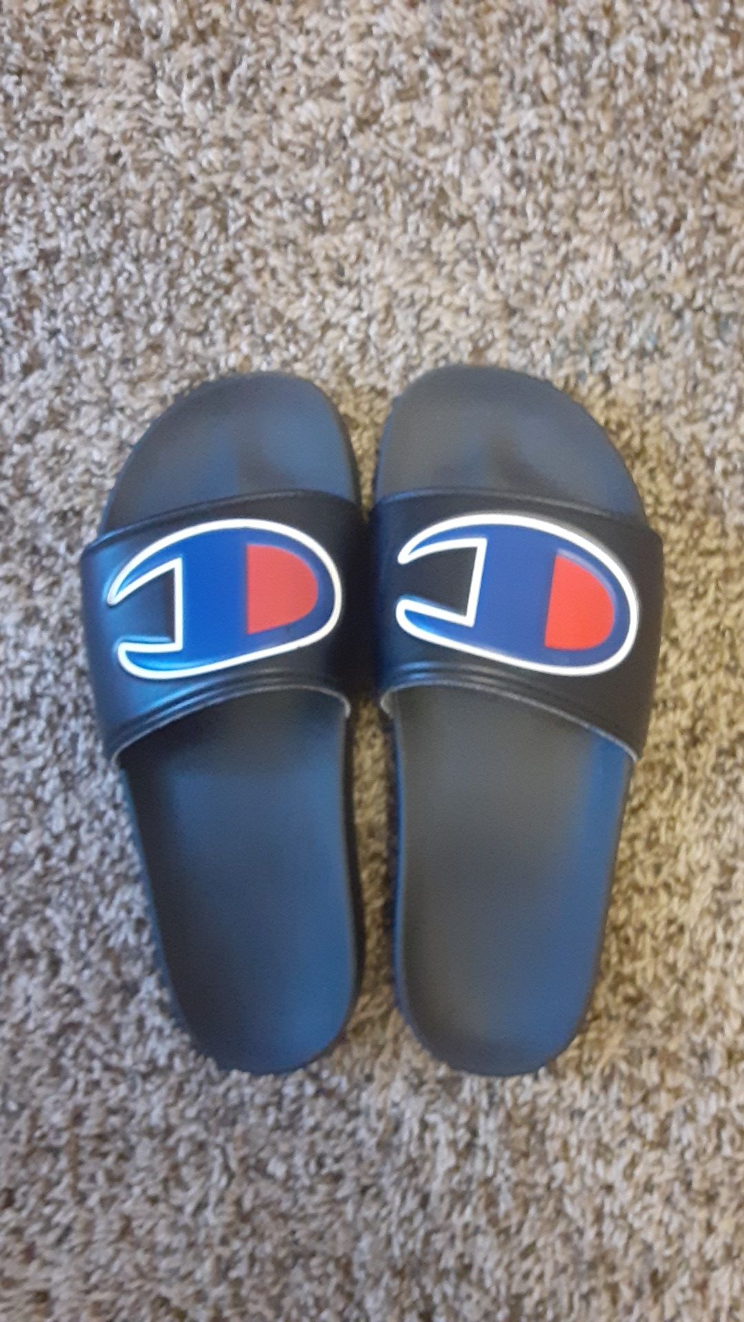 Champion slides