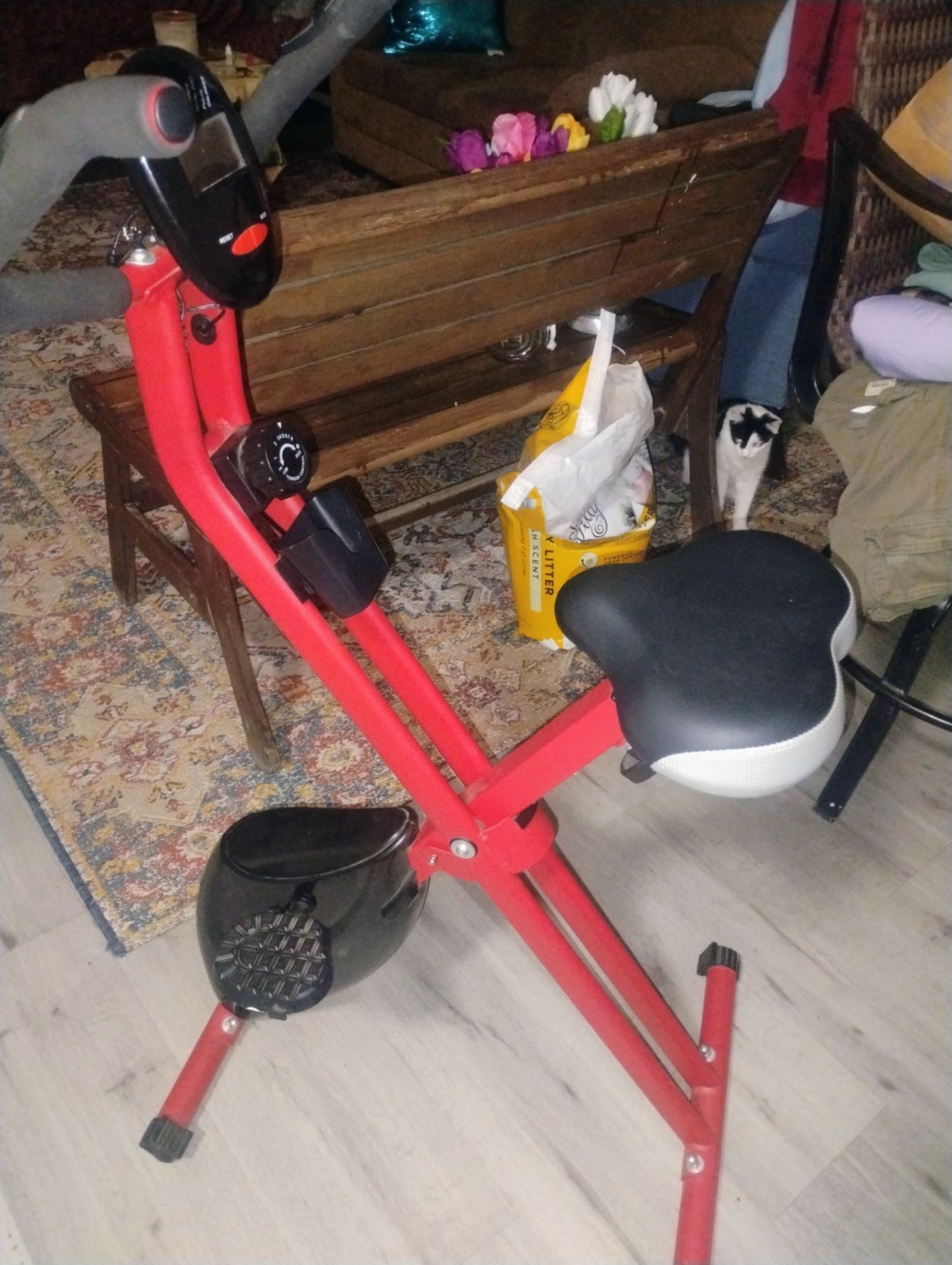 exercise bike