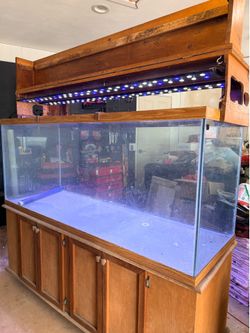 230 Gal Fish Tank & Salt Water Accessories