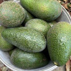 Queen avocados 3 for $5
