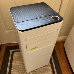 3-1 Room AC Unit - 8000 BTU