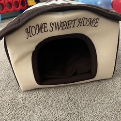 Little Dog House