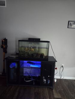 Turtles tank and stand