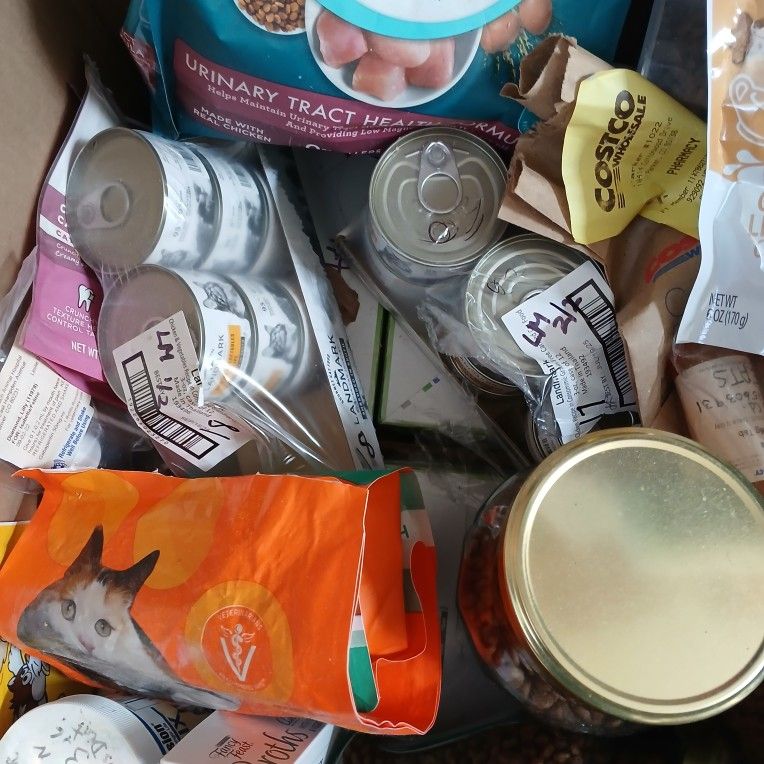 Dry, canned, Cat Food and Misc Items
