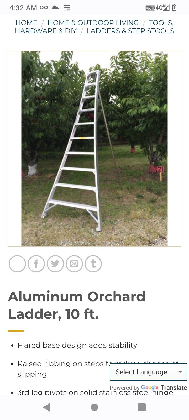 Orchard Tripod Ladder