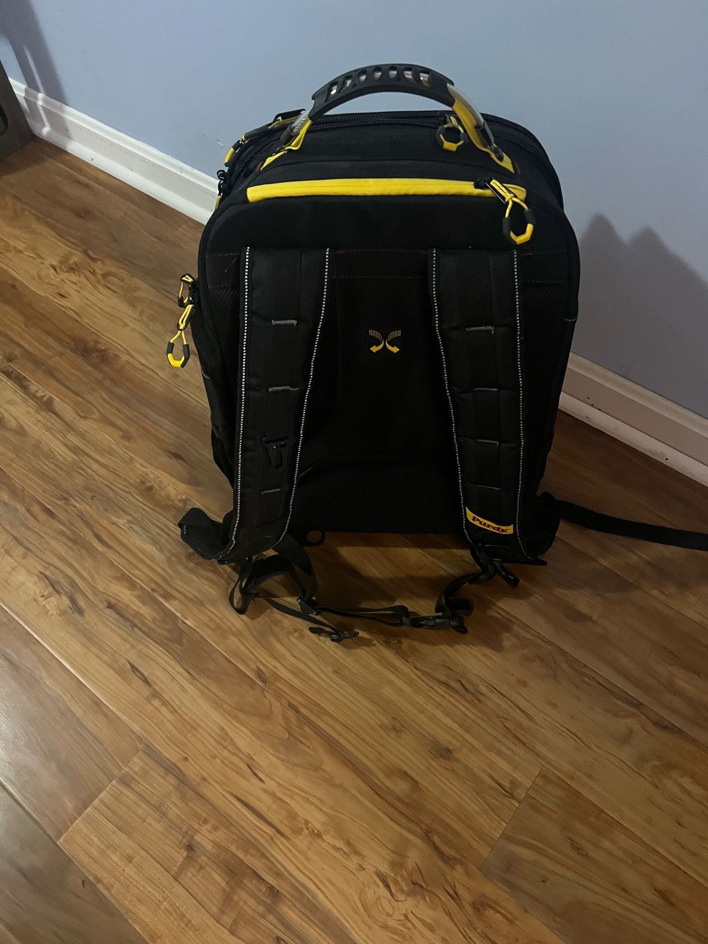 Bag pack , purdy painting