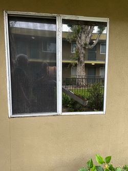 Window Tint