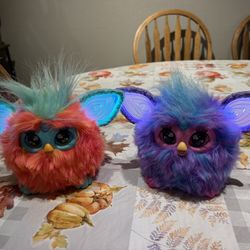Furbies $50 each both work and got batteries in them . Located in n Lakeland $100 both 