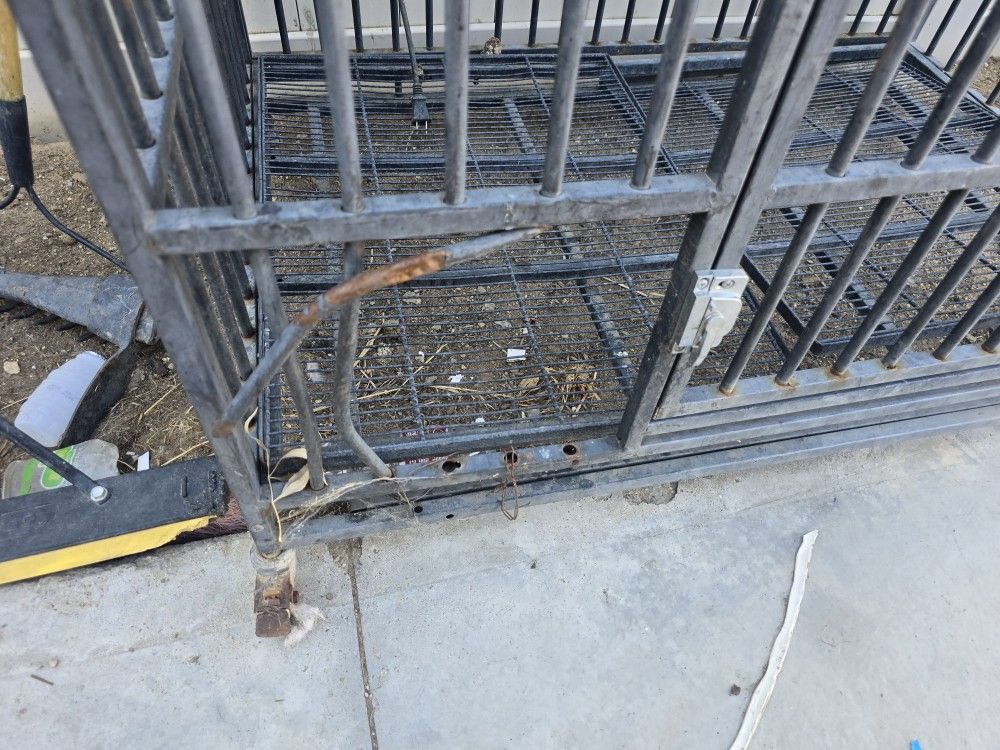 Dog Cage Wear And Tear 50 For Both