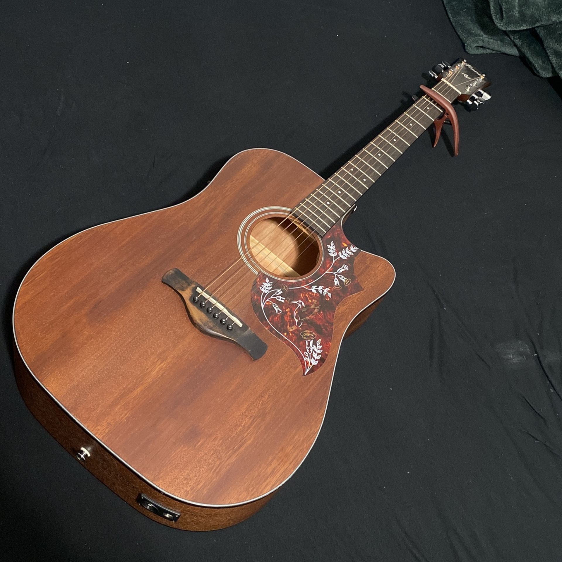 Acoustic Guitar