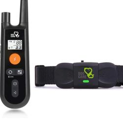 New Dog Training Collar