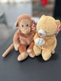 Ty Hope 1998 And Bongo  1995 