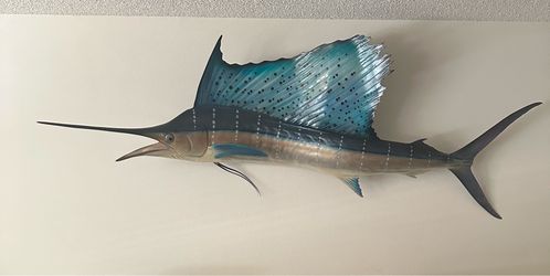 Professional Replica of Sail Fish caught in Mexico