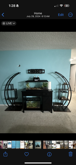 Crescent moon plant stands