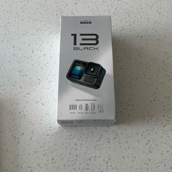 Go Pro Hero 13