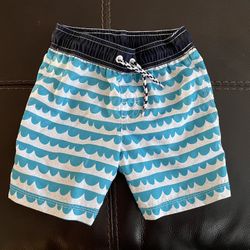 Gymboree 3T Boy Swimming Shorts