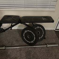 Bench + Bar & Weights 