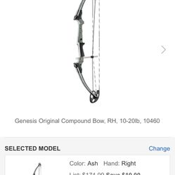 Genesis Bow & 12 Arrows 