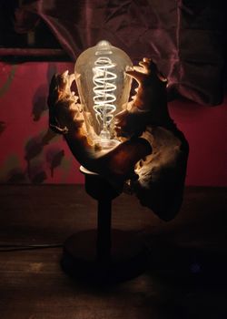Oddity Collectors ONLY Skull Lamp