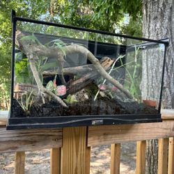 Zoomed Terrarium Complete Kit 