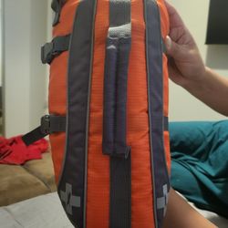 Dog Lifejacket
