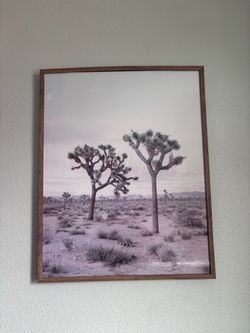 Joshua Tree framed photograph