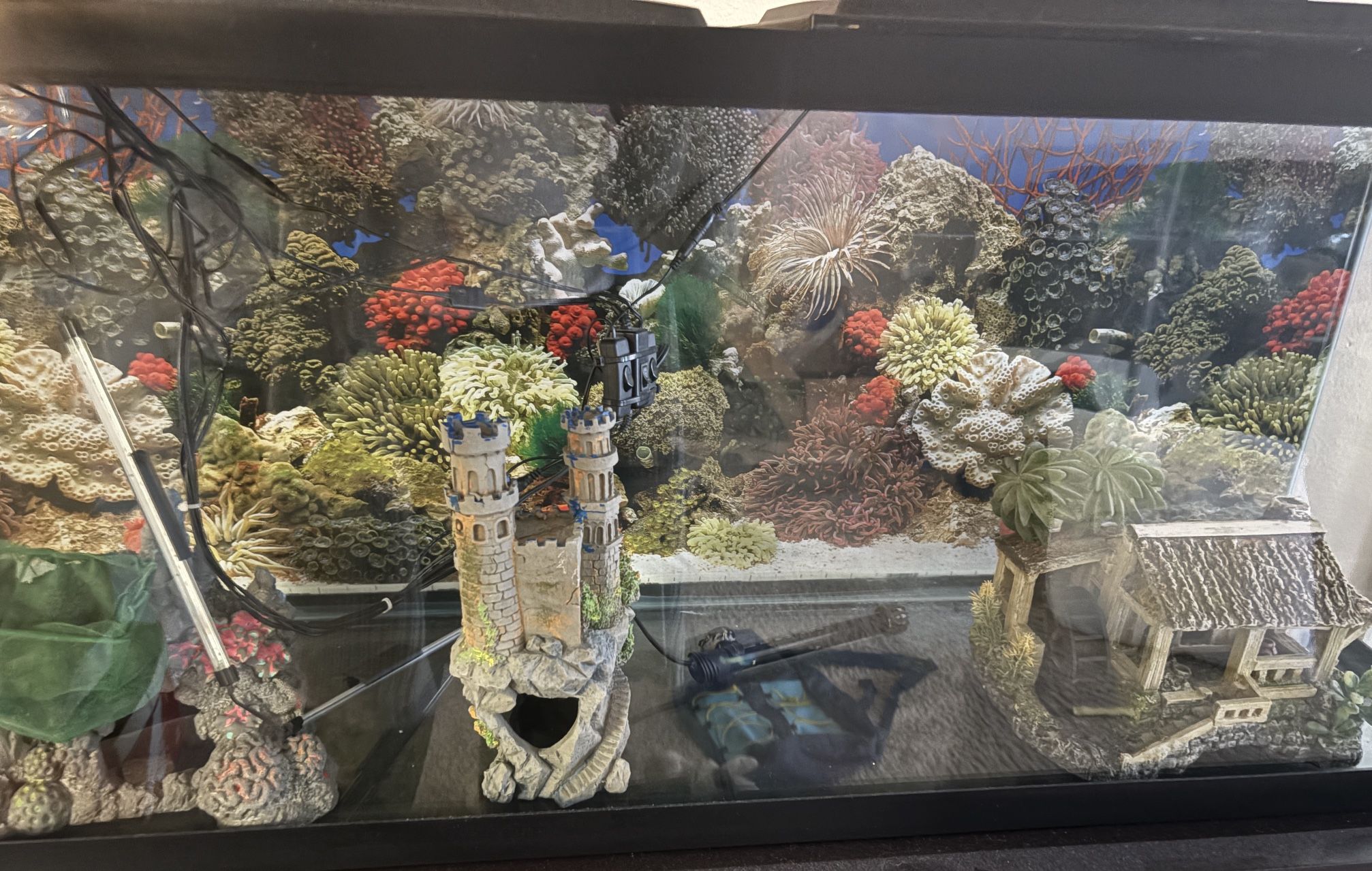 Fish Tank ,Accessories & Stand