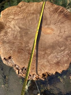 Birdseye maple  .live Edge Burl .