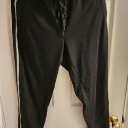 Aerie Pants Size L