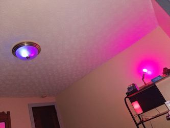 4x Phillips Hue 800 Lumen Bulbs