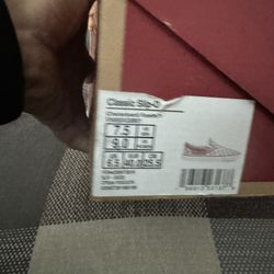 Vans New Shoes