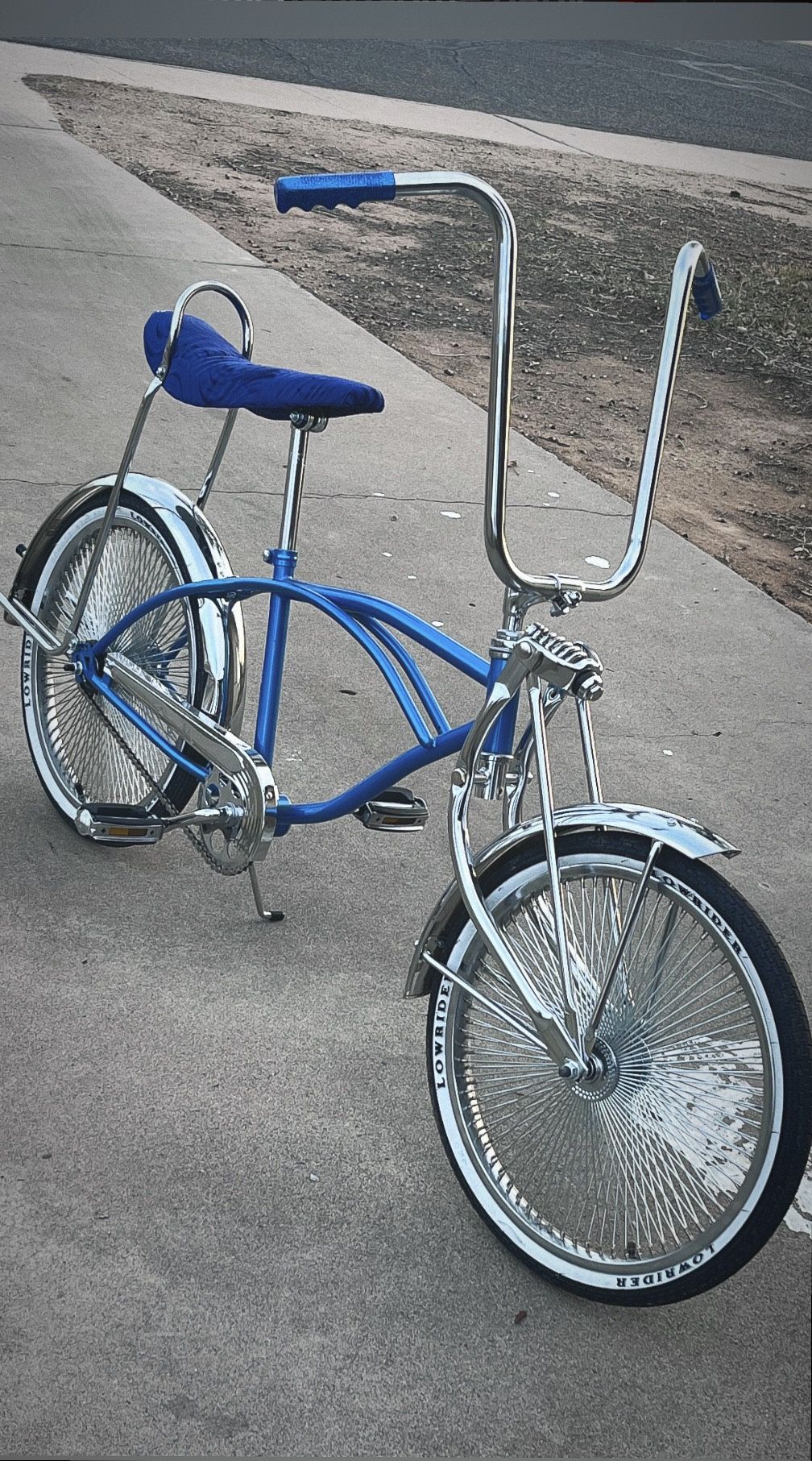 Low Rider bike