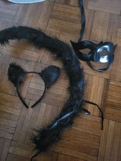 cat accessories