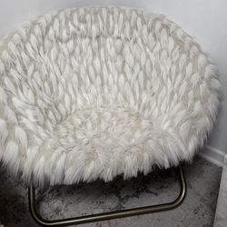 PotteryBarn Teen Faux Fur Round Chair