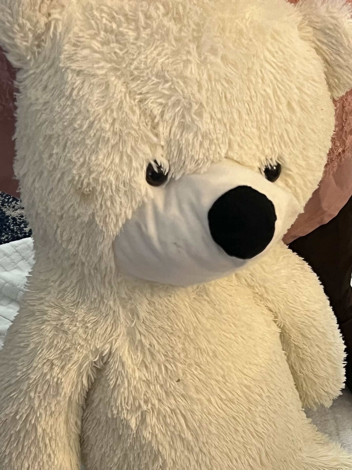 Teddy Bear