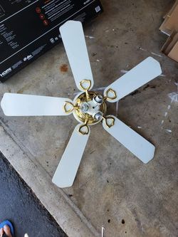 42 Inch White N Gold Ceiling Fan