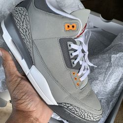 Cool Grey 3s