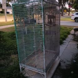 Bird Cage 