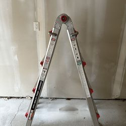 17ft Ladder