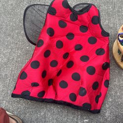 Lady Bug 🐞 Custom 2 Years Old 